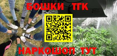 Альфа ПВП Ливны
