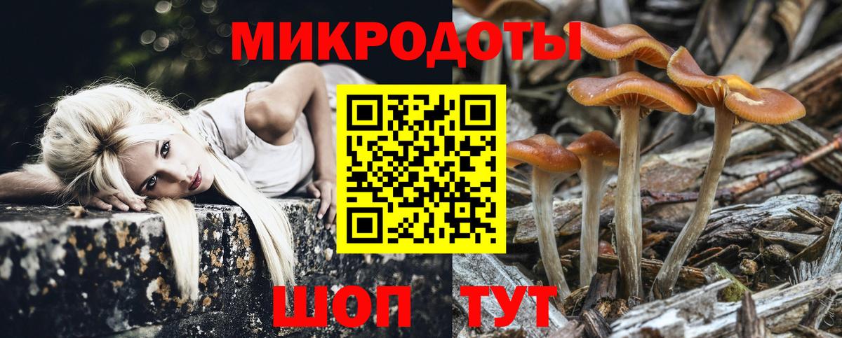 Галлюциногенные грибы Psilocybe  Вход с VPN  Псилоцибиновые грибы прущие грибы  Дивногорск 